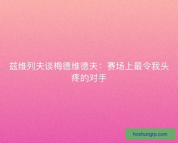 兹维列夫谈梅德维德夫：赛场上最令我头疼的对手